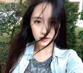 陈子美陈子湄相册图片