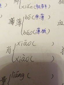 肖的多音字组词肖的多音字组词和拼音