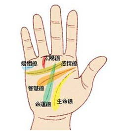 手纹看相算命是流传广泛的一种算命方法,我们在街上就能看到摆摊给人
