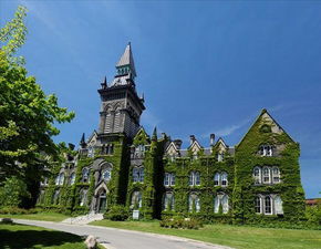 大学,瑞尔森大学三所,其他还有社区学院如乔治布朗学院,辛尼加学院等
