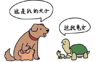 志同道合的意思志同道合的意思解释