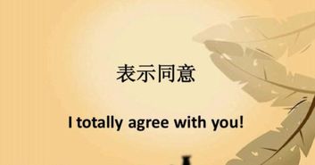 agree的各种形式,是什么?