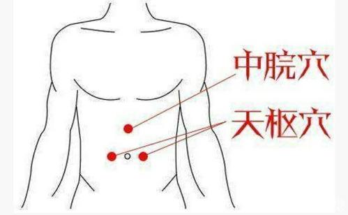 中脘,关元,足三里,命门穴位示意图