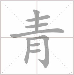 情字笔顺笔画情字笔顺笔画怎么写