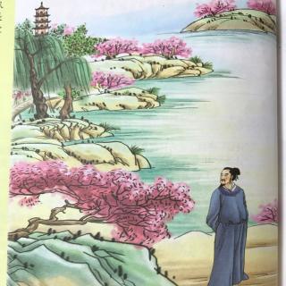 《江畔独步寻花》古诗全部意思?
