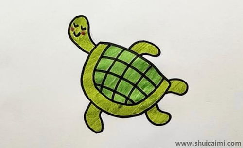 乌龟简笔画彩色乌龟简笔画彩色可爱卡通