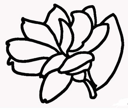 茉莉花简笔画简单又好看茉莉花简笔画彩色
