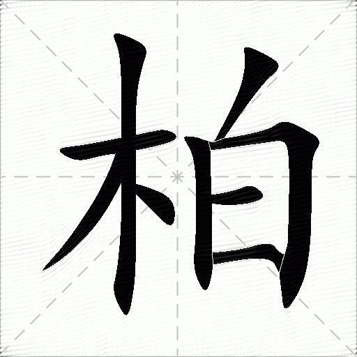柏什么意思解释柏字笔画笔顺柏拼音组词