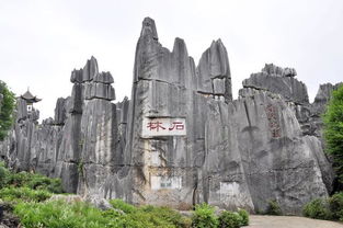 石林旅游景点介绍石林景点介绍导游词