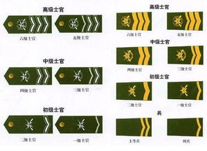 一靠军衔领章分别.