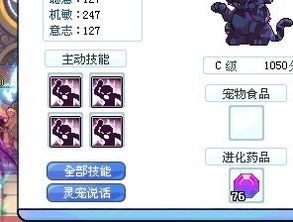 彩虹岛灵宠技能
