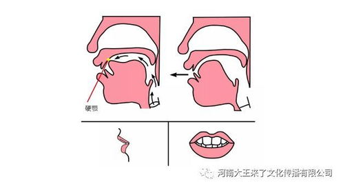 平翘舌音