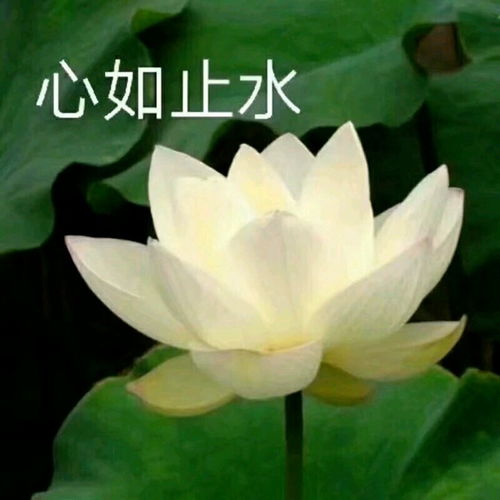 ˵ֹˮʲô˼ֹˮʲô˼
