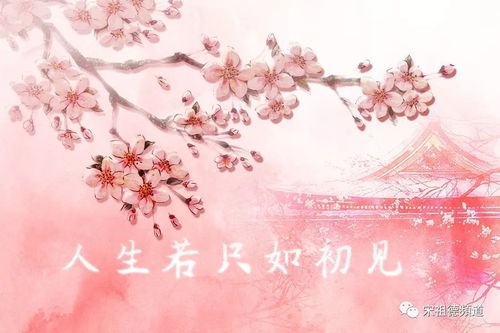 我是人间惆怅客 知君何事泪纵横_纵横人间是什么意思_我是人间惆怅客 知君何事泪纵横