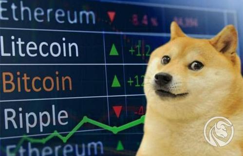 钱包狗狗币_tp钱包狗币_狗币tp钱包