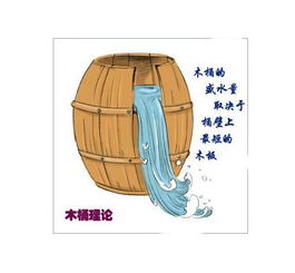 木桶原理和新木桶原理综合素质作文木桶原理作文