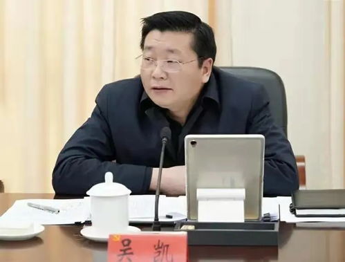 主角叫吴凯他创建了华夏集团的都市小说