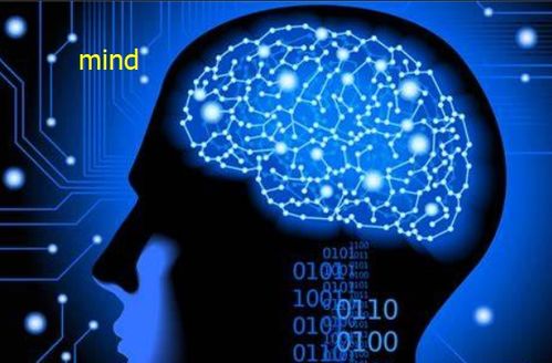 mind doing,mind brand_竞价网