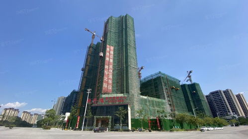 新外滩相对于开平市其他的楼盘中有什么不一样?