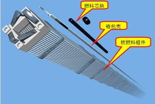 核燃料丰度核燃料棒