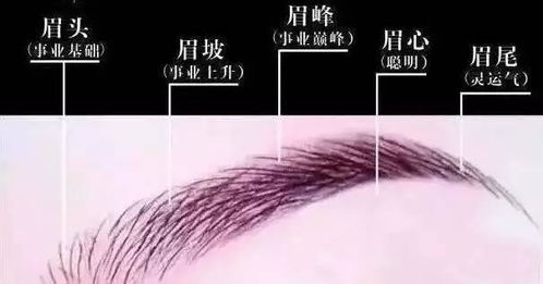 迫在眉睫的意思是什么迫在眉睫的意思和造句