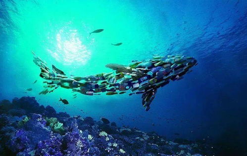 海洋污染的治理措施海洋污染现状