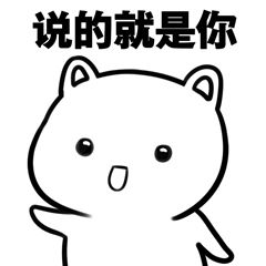 '我说的就是你 英文翻译