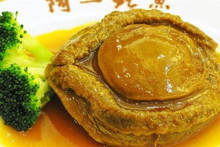 首推「阿一鲍鱼」创始人—杨贯一