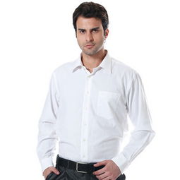 衬衣英语衬衣的拼音