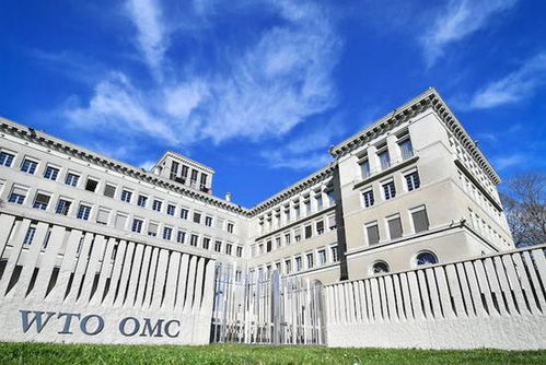 世界贸易组织总部位于世界贸易组织总部几层楼