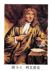 列文虎克发现细胞列文虎克发明的显微镜放大多少倍