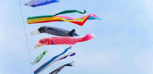 鲤鱼旗是中国的吗鲤鱼旗是什么节日的象征