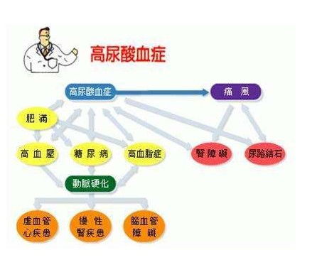 尿酸偏高的治疗方法有哪些（尿酸偏高能喝豆浆吗）