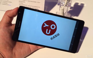 vmallhuaweivmall是什么意思