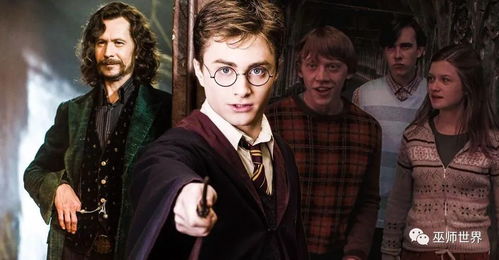 凤凰社成员凤凰社是什么组织