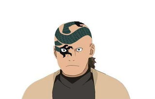 二代目风影图片,二代目风影叫什么名字_竞价网