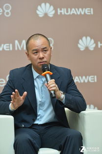 朱平安寒门崛起朱平华为