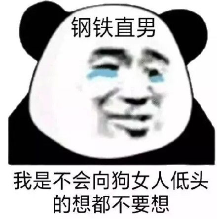 直男是什么意思啊