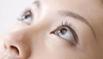 迫在眉睫的意思是什么迫在眉睫的意思和造句