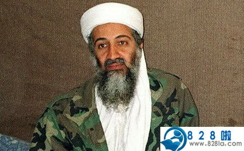 Is Bin Laden dead or not?_When Bin Laden died_The truth about Bin Laden's death