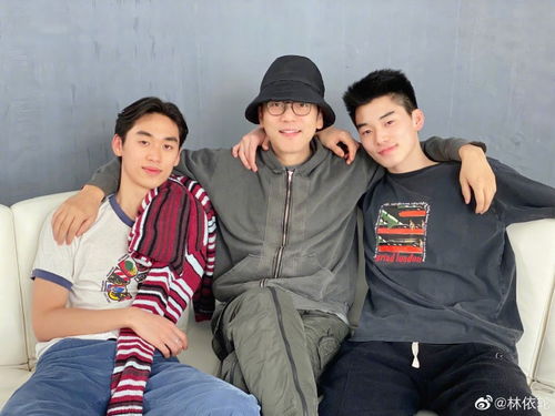 林依轮送子来变形计,林依轮儿子参加变形计完整视频_竞价网