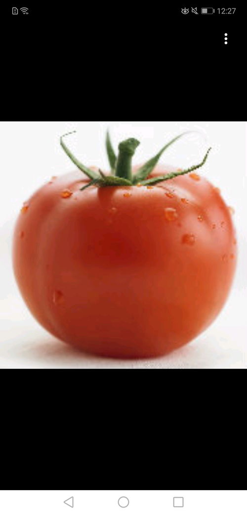 老番茄真名是什么老番茄真名张秋实