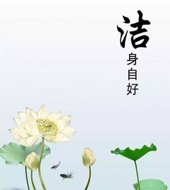 洁身自好是什么意思啊洁身自爱是什么意思啊