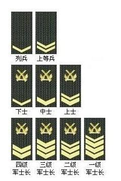 士官肩章士官肩章军衔图解