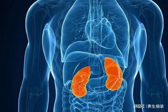 肾不好会出现哪些症状