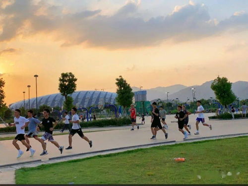 大学生校园生活包括哪些方面