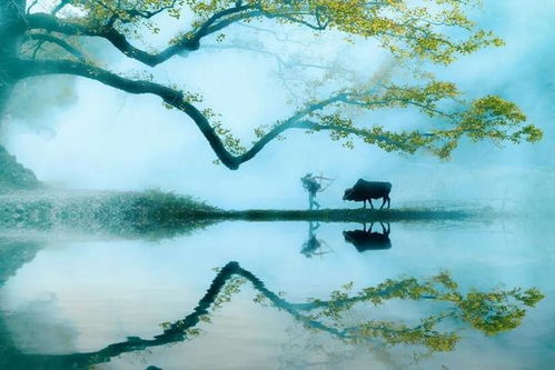 江南春天的诗句江南春天的诗句古诗