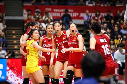 中国排球成员,赛场上的拼搏者,时代中的追梦人中国排球成员名单