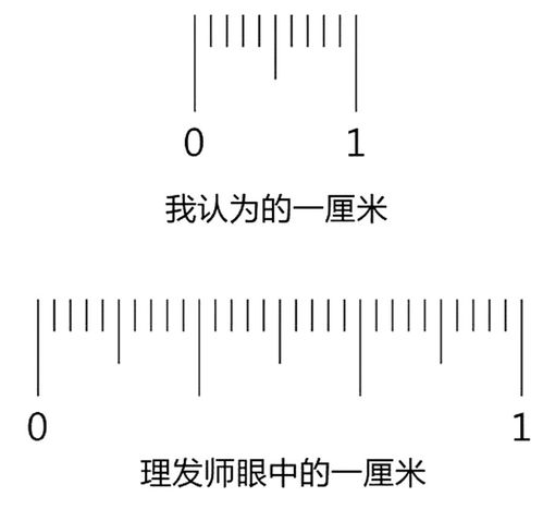 一厘米一厘米有多长