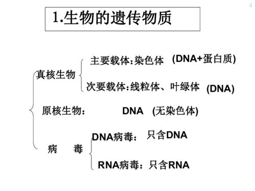 形成和生物进化的基矗 微生物遗传学作为一门独立的学科诞生于40年代